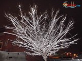 DSCF7063 DSCF7063