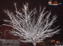 DSCF7063 DSCF7063